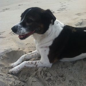 Meet your Posher, Kat